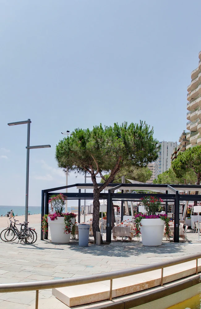 Restaurante de renombre con terraza frente al mar
